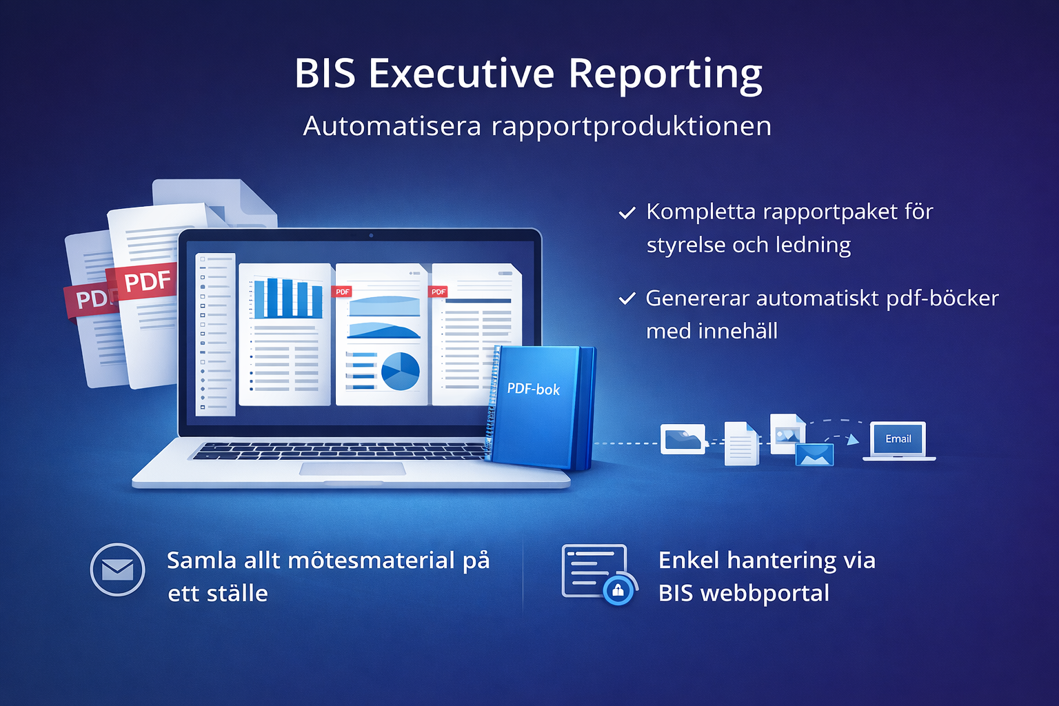 BIS Executive Reporting